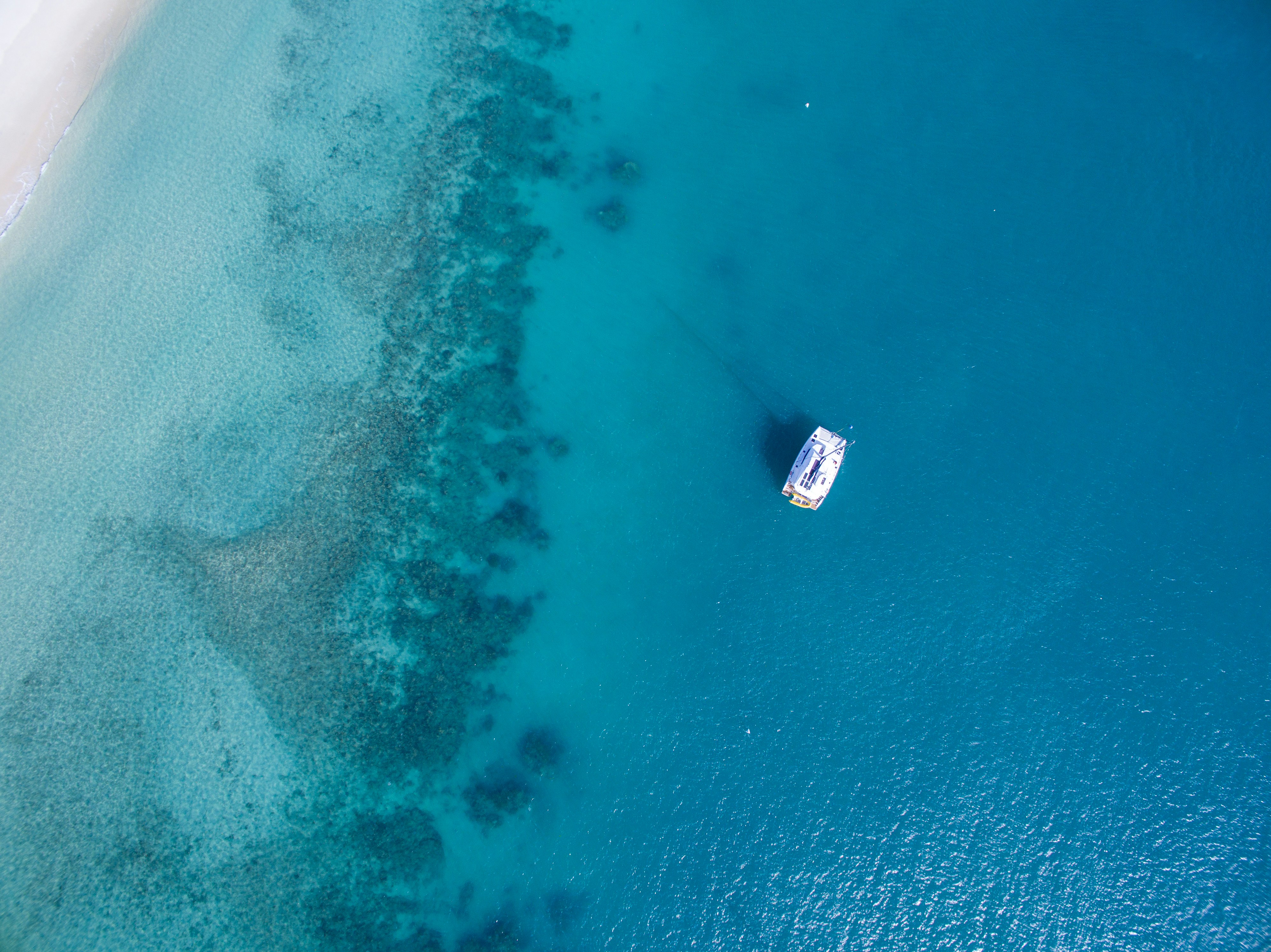 Catamaran in Punta Cana - Book & Go
